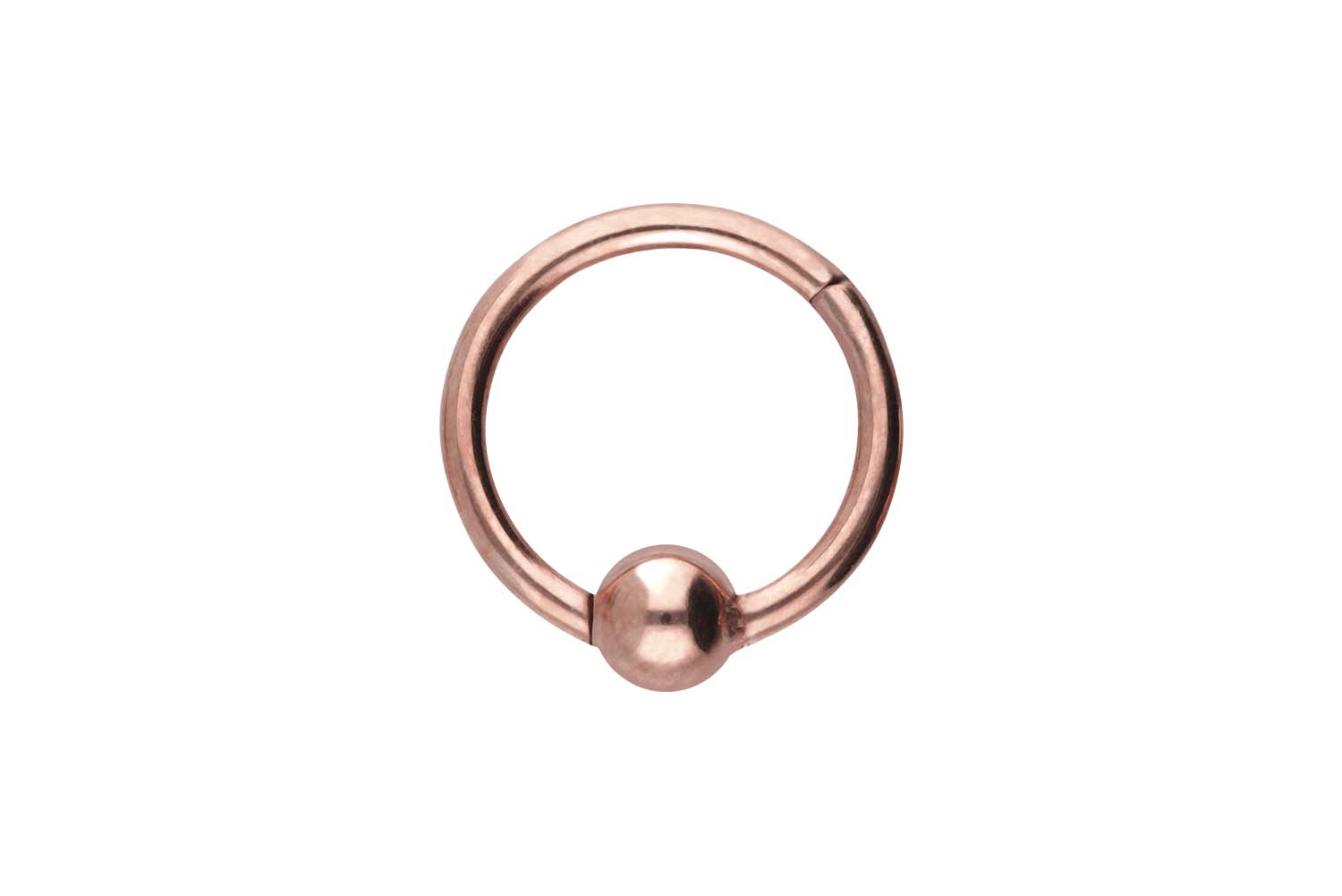 Titan Segmentring Clicker Piercing KUGEL ++SALE++
